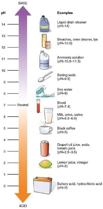 Drinking Water Tds Chart 1459